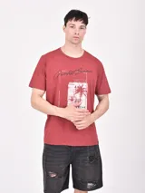 Remera color ladrillo con estampado rectangular con texto y palmera.