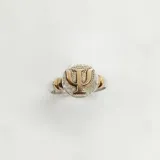 Anillo de plata 925 con apliques de oro 9k. El diseño presenta el símbolo de psicología en el centro.