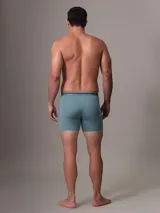 Pack de tres bóxer brief de Calvin Klein, en colores negro, gris y celeste, con cintura elástica con el logo de la marca.