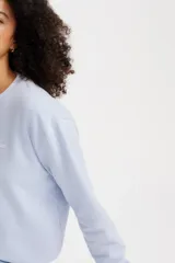 Buzo celeste liso de corte clásico con cuello redondo y logo pequeño bordado en el pecho.