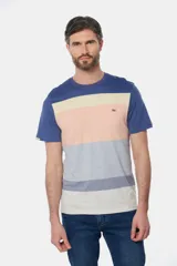 Remera de manga corta con diseño a rayas horizontales en blanco, gris, azul y celeste.