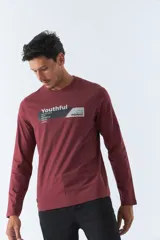 Remera gris de manga larga con cuello redondo y estampado frontal con la palabra 'Youthful' y el logo de Mistral.