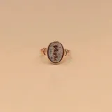 Anillo de plata 925 con apliques de oro 9k, con el símbolo de la medicina en el centro.