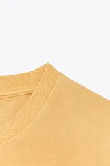 Remera color ladrillo con cuello redondo y mangas cortas.