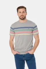 Remera de manga corta color gris jaspeado con cuello redondo y un patrón de rayas horizontales anchas en tonos pastel (azul, verde menta, rosado y amarillo). Presenta un pequeño logo bordado en el pecho.