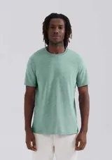 Remera básica de manga corta color gris claro, con cuello redondo.