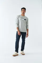Remera gris de manga larga con cuello redondo y estampado frontal con la palabra 'Youthful' y el logo de Mistral.