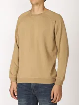 Sweater básico de algodón frizado, color verde musgo jaspeado, con cuello redondo y mangas raglán. Presenta puños y ruedo elastizados.