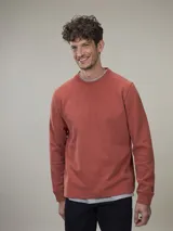 Buzo de cuello redondo confeccionado en fleece color ladrillo (60% algodón, 40% poliéster).