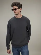 Buzo de frisa azul piedra, de corte clásico, con cuello redondo y mangas raglán.