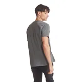 Remera gris de cuello redondo y manga corta.