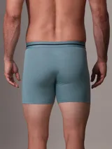 Pack de tres bóxer brief de Calvin Klein, en colores negro, gris y celeste, con cintura elástica con el logo de la marca.
