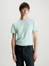 Remera verde agua de algodón orgánico con logo de Calvin Klein estampado en el pecho.