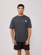 Remera de algodón con lavado oscuro, corte holgado (loose fit) y un pequeño estampado gráfico en el pecho.