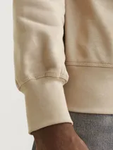 Buzo color beige de manga larga con cuello redondo y puños acanalados. Interior suave con acabado cepillado y estampado en relieve con efecto tridimensional.