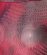 Blusa de tule con hombros descubiertos y mangas cortas, con estampa abstracta.