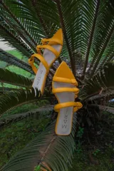 Sandalias amarillas de cuero con punta triangular y tiras finas con nudos.