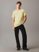 Remera color verde claro de corte clásico, cuello redondo y mangas cortas. Presenta el logo de Calvin Klein Jeans bordado en el centro del pecho.