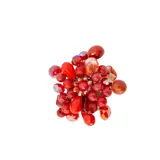 Broche con forma de flor hecho con piedras naturales de color rojo.