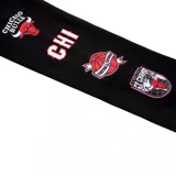 Canguro negro con cierre frontal, capucha con cordones rojos y bolsillos tipo canguro. Estampado frontal con el logo de los Chicago Bulls y la inscripción "Bulls" en rojo y blanco. Estampado en la manga izquierda con logos del equipo.
