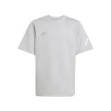 Camiseta gris de algodón con cuello redondo, corte regular y logo de Mercedes-AMG Petronas Formula One Team.