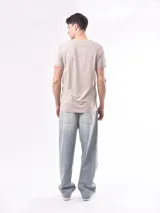 Remera gris con estampa rectangular con imagen de paisaje y texto.