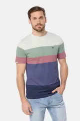 Remera de manga corta con rayas horizontales en tonos gris, verde, rosa, azul y azul marino.