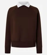 Sweater marrón de algodón con cuello camisero blanco, corte recto y mangas largas raglán.