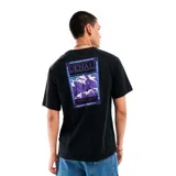 Camiseta negra de manga corta con cuello redondo y estampado en la espalda con el diseño de la montaña Denali.