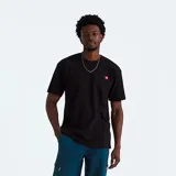Camiseta negra de algodón con cuello redondo y mangas cortas. Estampado en la espalda con la imagen de la montaña Aconcagua en colores neón y el logo de The North Face. Corte oversize.