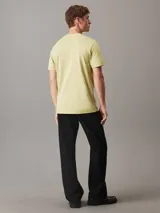 Remera color verde claro de corte clásico, cuello redondo y mangas cortas. Presenta el logo de Calvin Klein Jeans bordado en el centro del pecho.