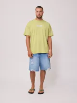 Remera marrón de hombre con estampado delantero y trasero.