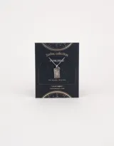Cadena corta plateada con dije rectangular con el signo zodiacal Aries y un dije redondo pequeño.