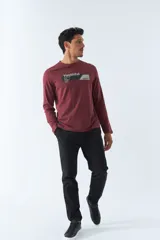 Remera gris de manga larga con cuello redondo y estampado frontal con la palabra 'Youthful' y el logo de Mistral.