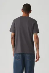 Remera gris oscuro de algodón con cuello redondo y estampado frontal de Levi's con un águila y estrellas en color dorado.