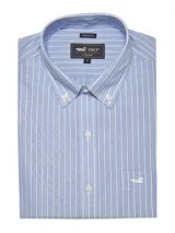 Camisa de hombre RKF Cityscape, de manga larga, corte regular y cuello americano abotonado. Diseño a cuadros pequeños en tonos blanco y celeste.