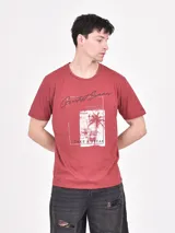 Remera color ladrillo con estampado rectangular con texto y palmera.
