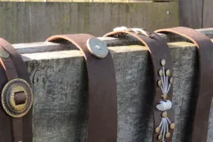 Cinturón marrón de cuero vacuno con hebilla metálica dorada y detalle de costuras blancas.