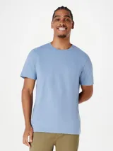 Remera básica de manga corta color gris claro, con cuello redondo.