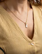 Collar con dije de letra inicial en acero quirúrgico con baño de oro 18k y cadena dorada fina.