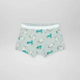 Pack de tres boxers con cintura elástica y estampado de dinosaurios en colores amarillo, gris y verde.
