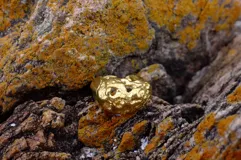 Anillo plateado con diseño irregular inspirado en los corales marinos.