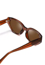 Lentes de sol con montura color marrón translúcido y lentes marrones.