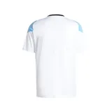 Camiseta de fútbol Adidas de entrenamiento de Lionel Messi, con los colores de la selección Argentina.