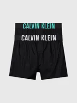Pack de dos bóxers de ajuste slim en color negro, confeccionados con algodón y algodón reciclado, con cinturilla elástica distintiva de Calvin Klein.