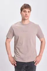 Remera color visón de manga corta con cuello redondo y estampa frontal con la frase "Take a Chance".