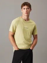 Remera color verde claro de corte clásico, cuello redondo y mangas cortas. Presenta el logo de Calvin Klein Jeans bordado en el centro del pecho.