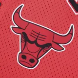 Camiseta deportiva roja de básquet, con cuello y mangas con ribete blanco y negro. Estampado frontal con el nombre "Chicago" en letras negras con borde blanco y el logo del equipo Chicago Bulls. Cierre frontal con botones a presión.