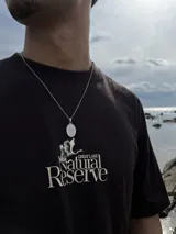 Remera marrón con cuello redondo y manga corta. Estampado frontal con un ave y el texto "Great Lake Natural Reserve".