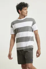 Remera de hombre a rayas horizontales anchas color azul y blanco, de mangas cortas y cuello redondo.
